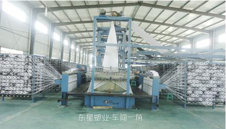 東星塑業集團六大核心優勢領跑國內噸袋集裝袋市場