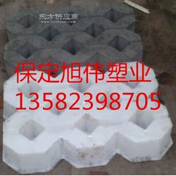 井字植草磚塑料模盒 旭偉塑業(yè)生產(chǎn)廠家