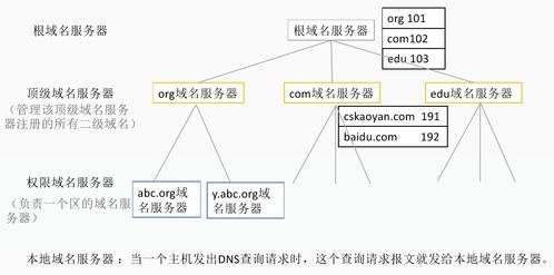 DNS域名解析系統(tǒng)在計(jì)算機(jī)網(wǎng)絡(luò)設(shè)計(jì)中的角色與實(shí)現(xiàn)